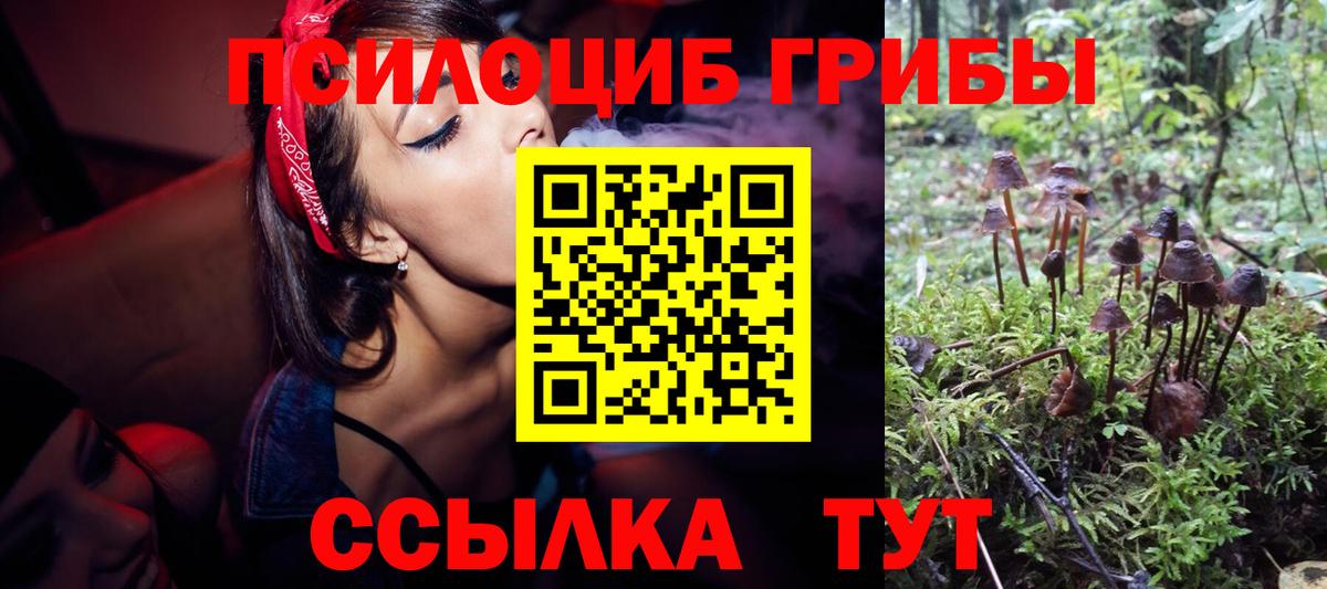 хочу   Вход с VPN  Азов  Галлюциногенные грибы мицелий  Псилоцибиновые грибы Psilocybe 